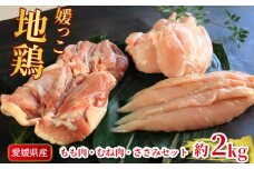 地鶏 愛媛 媛っこ地鶏 もも むね ささみセット 約2kg 鶏肉 鳥肉 肉 チキン むね肉 もも肉  焼肉 焼き鳥  BBQ 冷凍 国産 高級 タンパク質 低脂肪 糖質 唐揚げ チキン南蛮 サラダチキン スープ 出汁 ダイエット 愛南町 送料無料 ローカルスタンダード