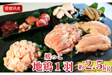 地鶏 愛媛 媛っこ地鶏 1羽セット 約2.5kg 鶏肉 鳥肉 肉 チキン むね肉 もも肉 ささみ レバー せせり ハツ 砂肝 焼肉 焼き鳥  BBQ 冷凍 国産 高級 タンパク質 低脂肪 糖質 唐揚げ チキン南蛮 サラダチキン スープ 出汁 モツ煮 ダイエット 愛南町 送料無料 ローカルスタンダード