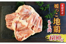 地鶏 愛媛 媛っこ地鶏 もも肉 約600g 鶏肉 鳥肉 肉 チキン むね 焼肉 焼き鳥  BBQ 冷凍 国産 高級 タンパク質 低脂肪 糖質 唐揚げ チキン南蛮 サラダチキン スープ 出汁 愛南町 送料無料 ローカルスタンダード