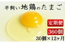 定期便 全12回 平飼い地鶏のたまご 30個×12ヶ月 合計360個 毎月30個 たまご 卵 玉子 生卵 鶏卵 平飼い 岡崎おうはん 地鶏 鳥 鶏 愛知 なごや 岡崎 愛媛 愛南町 ケーキ お菓子 おかず ブランド 希少 送料無料 ローカルスタンダード