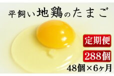定期便 全6回 平飼い地鶏のたまご 48個×6ヶ月 合計288個 毎月48個 たまご 卵 玉子 生卵 鶏卵 平飼い 岡崎おうはん 地鶏 鳥 鶏 愛知 なごや 岡崎 愛媛 愛南町 ケーキ お菓子 おかず ブランド 希少 送料無料 ローカルスタンダード