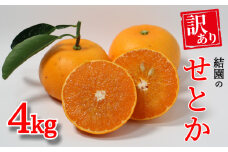 先行予約【 訳あり 】結園のせとか 4kg 柑橘 みかん 蜜柑 せとか フルーツ 高級 ブランド 人気 甘い 糖度 ビタミン 健康 美容 ゼリー ジュース アイス 愛媛県 愛南町 送料無料 発送期間: 2024年3月中旬～4月上旬
