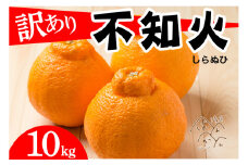 先行予約 訳あり 不知火 10kg  清家ばんかんビレッジ みかん 蜜柑 デコポン 清見 きよみ ポンカン 柑橘 果物 フルーツ 柑橘 糖度 ビタミン 健康 美容 愛媛 愛南 発送:2024年2月10日～4月10日(なくなり次第終了)