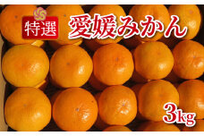 特選 愛媛みかん 3kg みかん 蜜柑 果物 フルーツ 柑橘 プレゼント ギフト 贈答 秀品 ビタミン 健康 美容 甘い 糖度 愛媛 愛南町 清家ばんかんビレッジ 発送期間：11月1日~1月25日