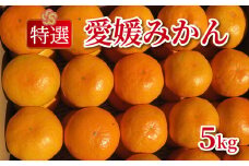 特選 愛媛みかん 5kg みかん 蜜柑 果物 フルーツ 柑橘 プレゼント ギフト 贈答 秀品 ビタミン 健康 美容 甘い 糖度 愛媛 愛南町 清家ばんかんビレッジ 発送期間：11月1日~1月25日