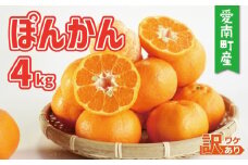 訳あり ポンカン 4kg 7000円 みかん mikan 蜜柑 ミカン ぽんかん 産地直送 国産 農家直送 糖度 期間限定 数量限定 特産品 ゼリー ジュース アイス 等に 人気 限定 甘い フルーツ 果物 柑橘 ビタミン 健康 美味しい おいしい ジューシー 小玉 含む 規格外 サイズ ミックス 傷み補償 500g ミッチーのおみかん畑 愛南町 愛媛県