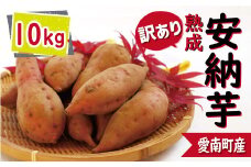 訳あり 熟成 安納芋 10kg サイズ混合 サツマイモ 焼き芋 干し芋 丸干し 冷凍焼き芋 冷やし焼き芋 やきいも 蜜芋 ほしいも スイートポテト フライドポテト いも天 サイズミックス  甘い ねっとり しっとり ほくほく 生芋 新芋 芋 いも 甘藷 あんのういも スイーツ おかず さつまいも 国産 人気 糖度 産地直送 農家直送 数量限定 14000円 愛媛県 愛南町 ミッチーのおみかん畑