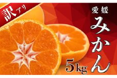 【先行受付】 訳あり 愛媛みかん 5kg 果物 柑橘 みかん 蜜柑 フルーツ ゼリー ジュース オレンジ 甘い 糖度 美味しい ビタミン 美容 健康 不揃い 傷 愛媛 愛南町 吉本農園 送料無料 