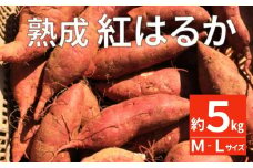  熟成 紅はるか 5kg M-Lサイズ さつまいも いも 低温熟成 完全熟成収穫 甘い 糖度 焼き芋 やきいも べにはるか はるか しっとり 蒸し芋 アレンジ スイートポテト 天ぷら チップス  おやつ お菓子 芋高糖度 料理 国産 愛媛県 愛南町青果市場 発送時期：12月中旬～3月下旬(なくなり次第終了)
