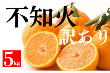 先行予約 訳あり 不知火 5kg みかん 蜜柑 清見 オレンジ ポンカン デコポン 果物 フルーツ 柑橘 人気 サイズミックス 傷 不揃い 愛媛 愛南 和家農園 発送期間：2024年2月下旬～4月上旬(なくなり次第終了)