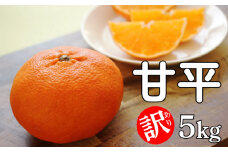 先行予約 訳あり 甘平 5kg  みかん 蜜柑 果物 柑橘 フルーツ 傷 不揃い 高級 糖度 甘い ゼリー ジュース ビタミンC 健康 美容 農園 直送  愛媛県 愛南町 発送期間: 2024年1月中旬～