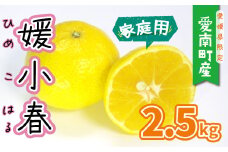 【 サンプル 糖度 13度 】 果樹園みどり の 媛小春 2.5kg （ 家庭用 サイズ ミックス  ） ひめこはる みかん 8000円 愛果28号 まどんな 甘平 黄金柑 清見 タンゴール 希少 おいしい 産地直送 国産 農家直送 期間限定 数量限定 特産品 ジュース ジューシー お取り寄せ 果汁 人気 限定 愛媛 愛南 甘い 高級 果物 品種 フルーツ 蜜柑 柑橘 新鮮 果実 果樹園 みどり