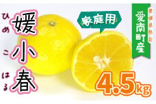 【 サンプル 糖度 13度 】 果樹園みどり の 媛小春 4.5kg （ 家庭用 サイズ ミックス  ） ひめこはる みかん 15000円 愛果28号 まどんな 甘平 黄金柑 清見 タンゴール 希少 おいしい 産地直送 国産 農家直送 期間限定 数量限定 特産品 ジュース ジューシー お取り寄せ 果汁 人気 限定 愛媛 愛南 甘い 高級 果物 品種 フルーツ 蜜柑 柑橘 新鮮 果実 果樹園 みどり