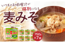 無添加生麦みそ 5.2kg 750g ×7パック 味噌 みそ 麦みそ 無添加 生 味噌汁 みそ汁 大豆 麦 スープ 調味料 減塩 甘口 糀 こうじ 田舎 国産 愛媛 愛南町 マルマサ醤油