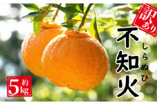 訳あり 不知火 約5kg  みかん 蜜柑 しらぬい デコポン 果物 柑橘 フルーツ ゼリー ジュース ビタミンC 健康 美容 農園 直送 サイズミックス 傷 不揃い エニシトラス 愛媛県 愛南町 発送期間: 2025年2月上旬～(なくなり次第終了)