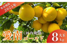 先行予約 2025年発送 愛南ゴールド（河内晩柑）大玉 約8kg みかん 蜜柑 河内晩柑 グレープフルーツ 柑橘 果物 フルーツ 前田ファーム 愛媛 愛南 【発送期間 3月下旬～5月上旬 】(なくなり次第終了)