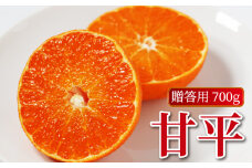 数量限定 贈答用 甘平 約700g みかん 蜜柑 柑橘 果物 フルーツ 高級 人気 糖度 ビタミン 健康 美容 ブランド 国産 減農薬  除草剤不使用 有機肥料使用 プレゼント 贈答 ギフト 愛媛県 愛南町  吉本農園 送料無料 発送期間:2月～なくなり次第