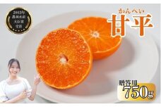 数量限定 贈答用 甘平 約750g みかん 蜜柑 柑橘 果物 フルーツ 高級 人気 糖度 ビタミン 健康 美容 ブランド 国産 減農薬  除草剤不使用 有機肥料使用 プレゼント 贈答 ギフト 愛媛県 愛南町  吉本農園 送料無料 発送期間:2026年2月～なくなり次第