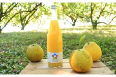 訳あり 愛南ゴールド5kgと愛南ゴールドジュース 720ml1本のセット みかん 蜜柑 河内晩柑 愛南ゴールド 果物 フルーツ 果汁 無添加 ジュース ゼリー アイス 柑橘 かんきつ 果汁 100% 国産 愛媛県 愛南町青果市場 発送：4月～(なくなり次第終了)