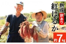 訳あり 熟成 紅はるか 7kg 2S～3Lサイズ さつまいも いも 低温熟成 完全熟成収穫 甘い 糖度 焼き芋 やきいも スイートポテト おやつ サイズミックス 2S～3Lサイズ 高糖度 料理 国産 愛媛県 愛南町青果市場 発送時期：12月下旬～5月下旬（なくなり次第終了）