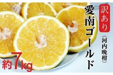 訳あり 愛南ゴールド ( 河内晩柑 ) 7kg みかん 蜜柑 河内晩柑 和製 グレープフルーツ 傷 不揃い 規格外 常温 愛媛県 愛南町 青果市場 発送: 4月上旬～なくなり次第終了