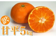 訳あり 甘平 5kg みかん 蜜柑 かんぺい 果物 フルーツ 柑橘 サイズミックス 傷 不揃い 愛媛県 愛南町 和家農園 発送期間：2024年2月下旬～(なくなり次第終了)