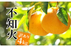 訳あり 不知火 4kg みかん 蜜柑 しらぬい デコポン 果物 フルーツ 柑橘 サイズミックス 傷 不揃い ゼリー ジュース 愛媛県 愛南町 発送期間：2024年4月上旬～(なくなり次第終了)