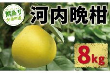 先行予約 訳あり 河内晩柑 8kg 9000円 みかん かわちばんかん 愛南ゴールド あいなん ゴールド 美生柑 文旦 グレープフルーツ 和製 家庭用 先行 事前 予約 受付 産地直送 国産 農家直送 糖度 果樹園 期間限定 数量限定 特産品 ゼリー ジュース 人気 限定 さわやか 甘い フルーツ 果物 柑橘 蜜柑 規格外 愛南町 愛媛県