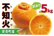 訳あり 不知火 5kg 8000円 みかん しらぬい 産地直送 国産 農家直送 糖度 果樹園 期間限定 数量限定 特産品 ゼリー ジュース 人気 限定 さわやか 甘い フルーツ 果物 柑橘 蜜柑 規格外 愛媛県 愛南町 ミッチーのおみかん畑