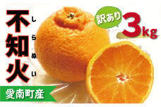 訳あり 不知火 3kg 7000円 みかん しらぬい 産地直送 国産 農家直送 糖度 果樹園 期間限定 数量限定 特産品 ゼリー ジュース 人気 限定 さわやか 甘い フルーツ 果物 柑橘 蜜柑 規格外 愛媛県 愛南町 ミッチーのおみかん畑