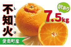 訳あり 不知火 7.5kg 12000円 みかん しらぬい 産地直送 国産 農家直送 糖度 果樹園 期間限定 数量限定 特産品 ゼリー ジュース 人気 限定 さわやか 甘い フルーツ 果物 柑橘 蜜柑 規格外 愛媛県 愛南町 ミッチーのおみかん畑