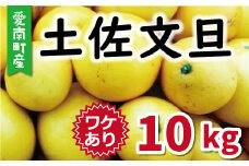 訳あり 文旦 10kg 10000円 みかん ぶんたん 土佐文旦 産地直送 国産 農家直送 糖度 果樹園 期間限定 数量限定 特産品 ゼリー ジュース マーマレード 人気 限定 さわやか 甘い フルーツ 果物 柑橘 蜜柑 規格外 果肉 歯ごたえ 愛媛県 愛南町 ミッチーのおみかん畑