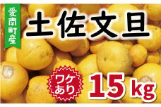 訳あり 文旦 15kg 13000円 みかん ぶんたん 土佐文旦 産地直送 国産 農家直送 糖度 果樹園 期間限定 数量限定 特産品 ゼリー ジュース マーマレード 人気 限定 さわやか 甘い フルーツ 果物 柑橘 蜜柑 規格外 果肉 歯ごたえ 愛媛県 愛南町 ミッチーのおみかん畑