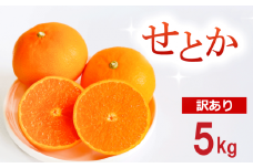 【 訳あり 】 せとか 5kg 柑橘 みかん 蜜柑 フルーツ 人気 甘い ジューシー 産地直送 国産 農家直送 期間限定 数量限定 糖度 果実 果肉 ビタミン 健康 美容 ゼリー ジュース アイス 特産品 規格外 エニシトラス 愛媛県 愛南町 送料無料 発送期間: 2025年3月上旬～3月下旬
