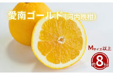 家庭用  愛南ゴールド 8kg みかん 蜜柑  果物 フルーツ 柑橘 グレープフルーツ 河内晩柑 愛媛県 愛南町 愛媛 愛南 和家農園 発送期間：2024年4月中旬～(なくなり次第終了)