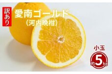 訳あり  愛南ゴールド 5kg  Sサイズ みかん 蜜柑  果物 フルーツ 柑橘 グレープフルーツ 河内晩柑 愛媛県 愛南町 愛媛 愛南 和家農園 発送期間：2024年4月中旬～(なくなり次第終了)
