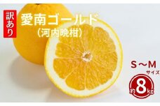 訳あり  愛南ゴールド 8kg  S~Mサイズ 河内晩柑 柑橘 フルーツ 果物 蜜柑 みかん くだもの mikan 家庭用 傷 不揃い  サイズミックス かわち ばんかん かんきつ 和製 グレープフルーツ デザート 果実 果汁 甘い ジューシー おいしい 特産品 国産 農園 直送 産地 直送 愛媛県 愛南町 和家農園 発送期間：2025年4月15～(なくなり次第終了)