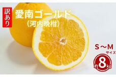先行予約 訳あり  愛南ゴールド 8kg  S~Mサイズ 河内晩柑 柑橘 フルーツ 果物 蜜柑 みかん くだもの mikan 家庭用 傷 不揃い  サイズミックス かわち ばんかん かんきつ 和製 グレープフルーツ デザート 果実 果汁 甘い ジューシー おいしい 特産品 国産 農園 直送 産地 直送 愛媛県 愛南町 和家農園