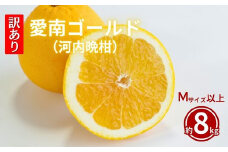 訳あり  愛南ゴールド 8kg  Mサイズ以上 河内晩柑 柑橘 フルーツ 果物 蜜柑 みかん くだもの mikan 家庭用 傷 不揃い  サイズミックス かわち ばんかん かんきつ 和製 グレープフルーツ デザート 果実 果汁 甘い ジューシー おいしい 特産品 国産 農園 直送 産地 直送 愛媛県 愛南町 和家農園 発送期間：2025年4月15日～(なくなり次第終了)