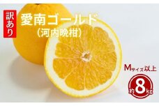訳あり  愛南ゴールド 8kg  Mサイズ以上 河内晩柑 柑橘 フルーツ 果物 蜜柑 みかん くだもの mikan 家庭用 傷 不揃い  サイズミックス かわち ばんかん かんきつ 和製 グレープフルーツ デザート 果実 果汁 甘い ジューシー おいしい 特産品 国産 農園 直送 産地 直送 愛媛県 愛南町 和家農園 