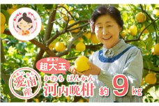 訳あり 河内晩柑 超大玉 9kg 7000円 先行予約 （発送期間：5月中旬～無くなり次第終了） みかん かわちばんかん 愛南ゴールド あいなん ゴールド 美生柑 文旦 グレープフルーツ 和製 家庭用 事前 受付 産地直送 国産 農家直送 糖度 果樹園 期間限定 数量限定 特産品 ゼリー ジュース 人気 限定 さわやか 甘い フルーツ 果物 柑橘 蜜柑 規格外 愛媛県 愛南町 あいなんマザーズ