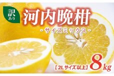 訳あり 河内晩柑 2L サイズ 以上 8kg サイズミックス 7000円 みかん かわちばんかん ミカン mikan わけあり 愛南ゴールド 家庭用 あいなん ゴールド 美生柑 文旦 派生 和製 グレープフルーツ 産地直送 国産 農家直送 期間限定 数量限定 特産品 人気 限定 甘い おいしい フルーツ 果物 柑橘 蜜柑 アイス ジュース 等に 規格外 大樹農園 愛南町 愛媛県
