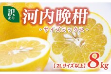 訳あり 河内晩柑 2L サイズ 以上 8kg サイズミックス 7000円 みかん かわちばんかん ミカン mikan わけあり 愛南ゴールド 家庭用 あいなん ゴールド 美生柑 文旦 派生 和製 グレープフルーツ 産地直送 国産 農家直送 期間限定 数量限定 特産品 人気 限定 甘い おいしい フルーツ 果物 柑橘 蜜柑 アイス ジュース 等に 規格外 大樹農園 愛南町 愛媛県