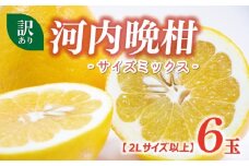 訳あり 河内晩柑 2L サイズ 以上 6玉 （ 約 3.5kg ） サイズミックス 5000円 みかん かわちばんかん ミカン mikan わけあり 愛南ゴールド 家庭用 あいなん ゴールド 美生柑 文旦 派生 和製 グレープフルーツ 産地直送 国産 農家直送 期間限定 数量限定 特産品 人気 甘い おいしい フルーツ 果物 柑橘 蜜柑 アイス ジュース 等に 規格外 大樹農園 愛南町 愛媛県