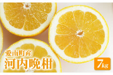 河内晩柑 約7kg みかん 柑橘 ギフト 愛南ゴールド フルーツ 果物 くだもの 柑橘 和製 グレープフルーツ ゼリー ジュース 愛媛 愛南町 山口農園 発送期間：2024年4月1日～6月中旬 (なくなり次第終了)
