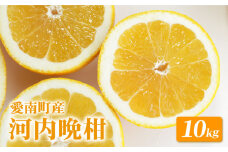 河内晩柑 約10kg みかん 柑橘 ギフト 愛南ゴールド フルーツ 果物 くだもの 柑橘 和製 グレープフルーツ ゼリー ジュース 愛媛 愛南町 山口農園 発送期間：2024年4月1日～6月中旬 (なくなり次第終了)