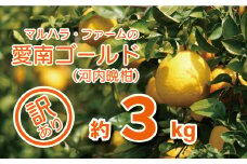 お試し用 訳あり 河内晩柑 3kg サイズミックス 5000円 みかん かわちばんかん ミカン mikan わけあり 愛南ゴールド あいなん ゴールド 美生柑 文旦 派生 和製 グレープフルーツ 産地直送 国産 農家直送 減農薬 期間限定 数量限定 特産品 人気 限定 おいしい 小玉 含む 果物 柑橘 蜜柑 少額 試供品 お試し品 少量 規格外 ビタミン マルハラファーム 愛南町 愛媛県