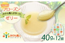 【みかん職人が作った フローズン ゼリー 】 40g×1種 計12個 河内晩柑 みかん 人気 デザート スイーツ  シャーベット 愛南ゴールド 美生柑 柑橘 みかん職人武田屋 ふるさと納税 愛媛県 愛南町 お試し 5000円 アイス 氷菓子 おやつ お菓子 甘味 柑橘 愛南ゴールド お試し 試供品 少量 お手頃