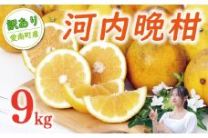 訳あり 河内晩柑 樹齢 20年以上 9kg （ サイズミックス ） 9000円 みかん mikan 蜜柑 ミカン わけあり かわちばんかん 愛南ゴールド あいなん ゴールド 美生柑 文旦 グレープフルーツ 和製 家庭用 産地直送 国産 農家直送 期間限定 数量限定 特産品 ゼリー ジュース 人気 限定 さわやか 甘い フルーツ 果物 柑橘 蜜柑 規格外 小玉 含む くらもとファーム 愛南町 愛媛県