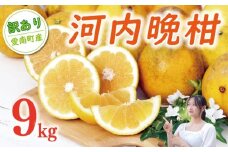 訳あり 河内晩柑 樹齢 20年以上 9kg （ サイズミックス ） 9000円 みかん mikan 蜜柑 ミカン わけあり かわちばんかん 愛南ゴールド あいなん ゴールド 美生柑 文旦 グレープフルーツ 和製 家庭用 産地直送 国産 農家直送 期間限定 数量限定 特産品 ゼリー ジュース 人気 限定 さわやか 甘い フルーツ 果物 柑橘 蜜柑 規格外 小玉 含む くらもとファーム 愛南町 愛媛県